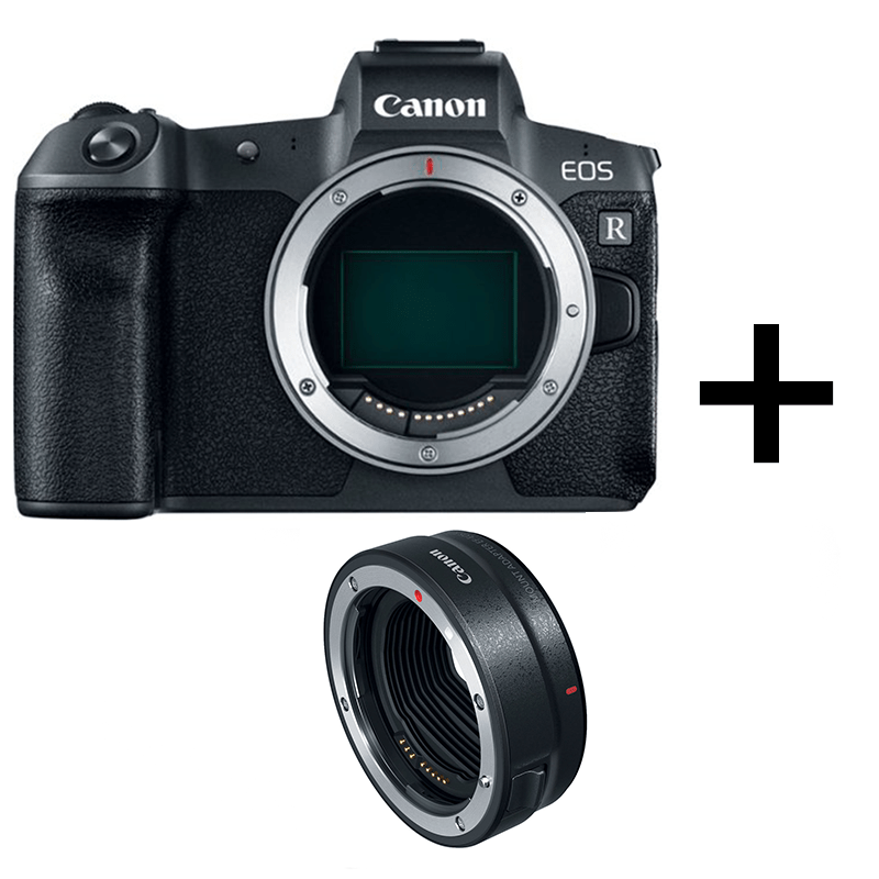 Bạn yêu thích nhiếp ảnh? Bạn muốn thử nghiệm một chiếc máy ảnh mới? Hãy ngắm nhìn những hình ảnh tuyệt đẹp chụp bằng máy ảnh Canon EOS R. Chắc chắn bạn sẽ mê hoặc ngay.